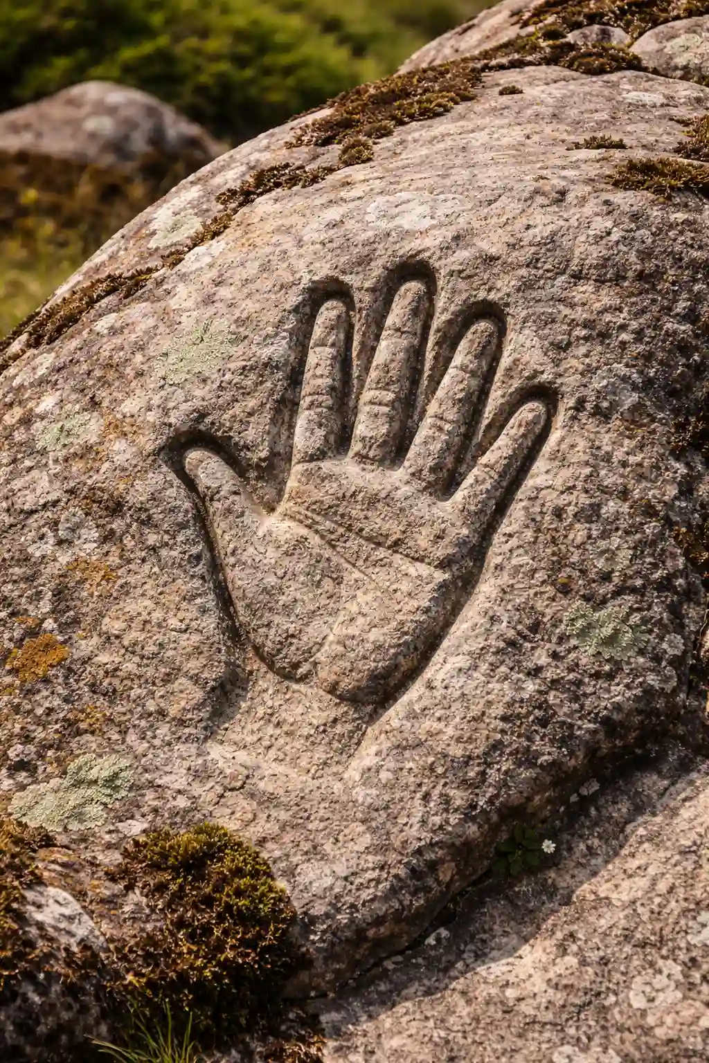 دست در دفینه یابی